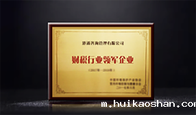 财税行业领军企业