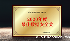 最佳数据安全奖